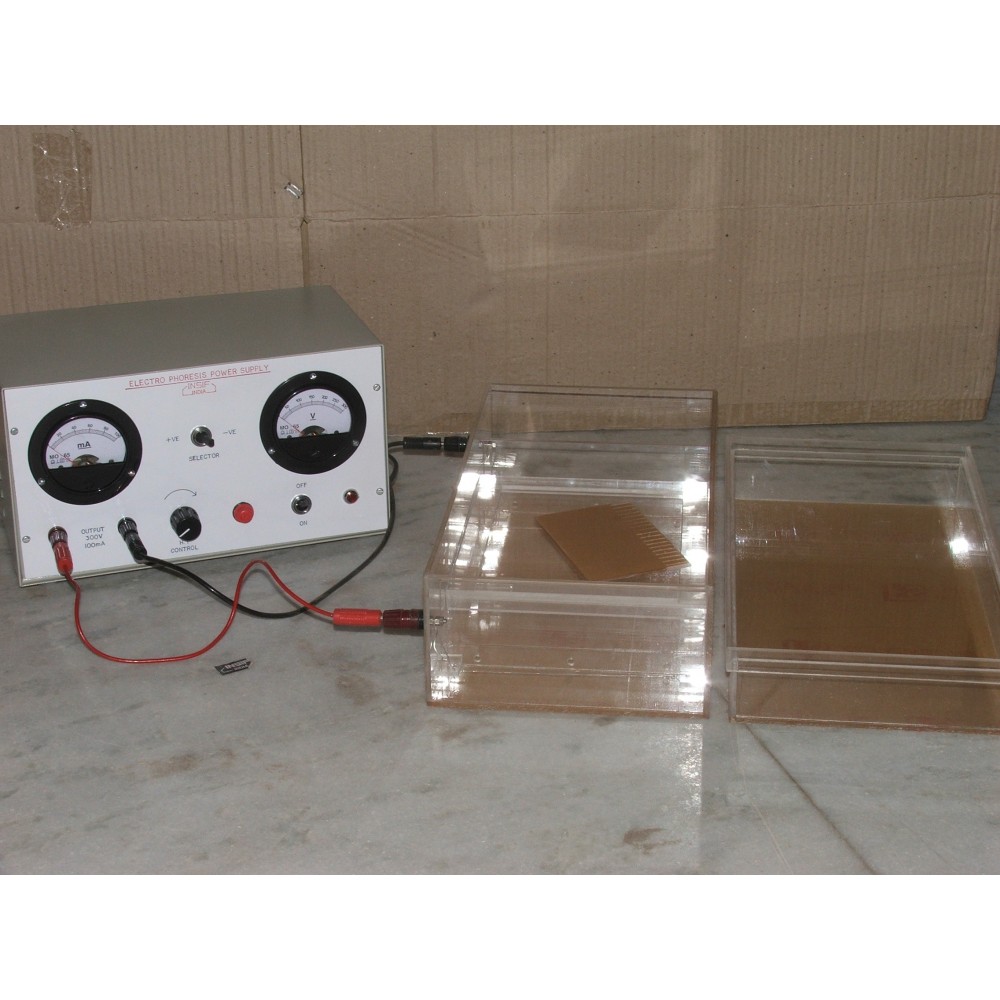 Horizontal Electrophorisis
